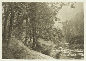 Stigen över First Brae, Dove Dale av Peter Henry Emerson