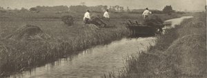 Starrskörden av Peter Henry Emerson