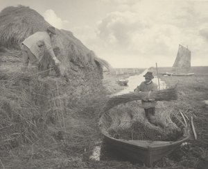 Ricking the Reed av Peter Henry Emerson and T.F. Goodall