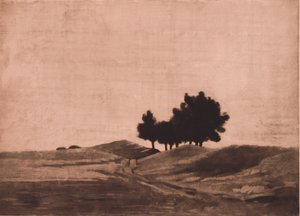 Kvällslandskap