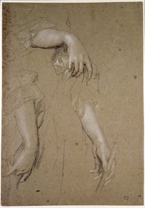 Studies of Hands, 1600-talet (krita på papper) av Peter Lely