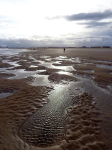 LÅGVÄN HARTLEPOOL, 2016, (FOTO) av Peter McClure