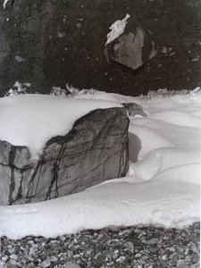 VINTAGE B&W PHOTO No.3, 1985, (FOTO) av Peter McClure
