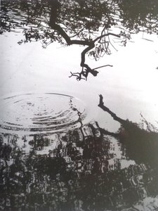 VINTAGE B&W PHOTO No.5, 1986, (FOTO) av Peter McClure