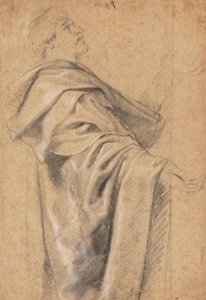 En man i en vid kappa av Peter Paul Rubens
