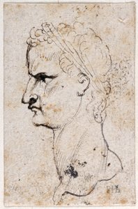 Gaius Caligula, från tio teckningar av åtta av de första tolv Caesarerna, efter Giovanni da Cavinos medaljer (penna och bläck på papper) av Peter Paul Rubens