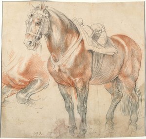 Sadlad häst. Omkring 1615-18 av Peter Paul Rubens