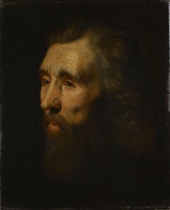 Huvud av en skäggig man av Peter Paul Rubens