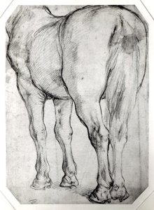 Hästens rygg av Peter Paul Rubens