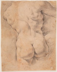 Manlig torso sedd bakifrån av Peter Paul Rubens