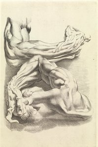 Muskler (gravyr) av Peter Paul Rubens
