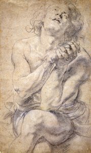 Seated Male Youth (Study for Daniel) av Peter Paul Rubens