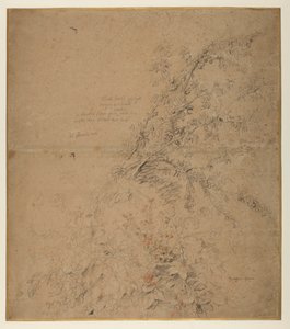 Studie av svarttorn med torn och andra växter, 1620 ca av Peter Paul Rubens