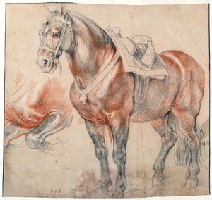 ""en sadelhäst"" Akvarell av Pieter Paul Rubens (1577-1640) ca 1616-1618 Wien Bibliotheque albertina av Peter Paul Rubens