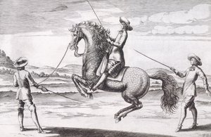 Illustration av en häst en Croupade från New Treatise for Breeding Horses skriven av Winters, Stuterey och Reit-Schul, pub. 1672 av Peter Paul Troschel