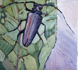Myskbagge av Peter Wilson