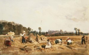 PD.129-1950 Cornfield, Windsor av Peter de Wint