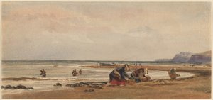 Tångplockare vid stranden i Redcar, Yorkshire