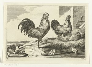 Höna, tuppar och ungar Diversarum avium arter (serietitel) Olika fåglar (serietitel)