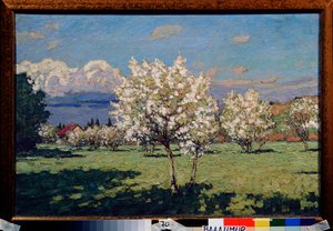 Körsbärsblommor. Målning av Pyotr Ivanovich Petrovichev (Pyotr Petrovichev) (1874-1947), olja på duk