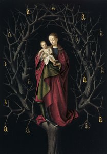 The Virgin of the torra Tree, ca 1465 av Petrus Christus