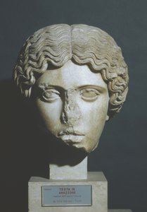 Amazons huvud av Phidias Phidias