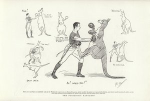 Den pugilistiska kängurun av Phil May