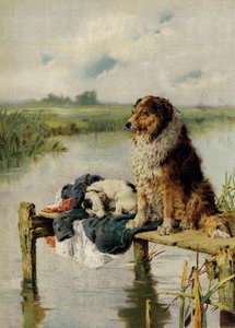 I tjänst (chromolitho)
