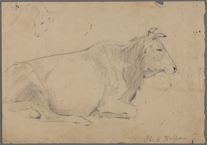 Sittande tjur (grafit på papper) av Philip H. Wolfrom