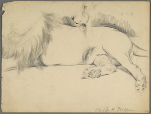 Studier av ett lejon (grafit på papper) av Philip H. Wolfrom