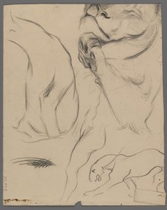 Studier av ett lejon (grafit på papper) av Philip H. Wolfrom