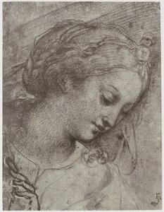Carlo Dolci, Jungfruns överhuvud av Philip Henry Delamotte
