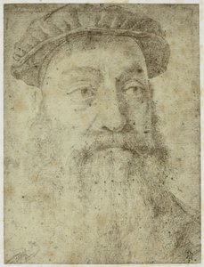 Foto från Bronzinos "Study for the Portrait of Stefano Colonna"