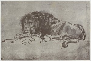 Rembrandt, ett lejon