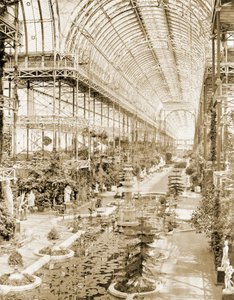 Det inre av långhuset taget från galleriet ovanför Drottningskärmen i södra änden ca 1859 (s/v foto)
