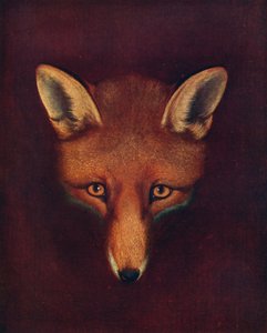 Räven Renard, c1800, 1922