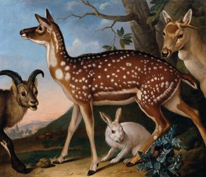 dovhjort, stenbock och hare