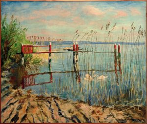 Badbrygga på Jungfernsee