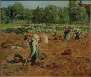 Potatisskörd av Philipp Franck