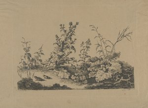 Landskapsstudie med tistlar och grodor av Philippe Cardon