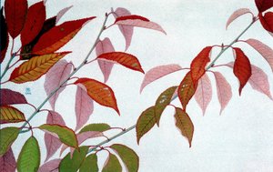 Autumn Leaves, av Philippe Robert, Robert Ried upplagor