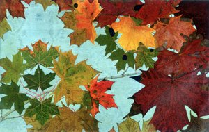 Autumn Leaves, av Philippe Robert, Robert Ried upplagor