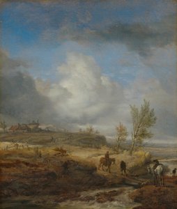 Molnigt sanddynslandskap