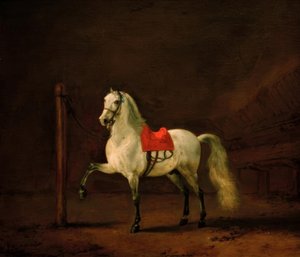 En vit häst i stallet av Philips Wouwerman