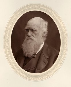 Porträtt av Charles Darwin 1809-1882, 1877. av Photo studio Lock and Whitfield