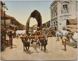 Indien. Ceylon. Colombo. Street Scene, efter foto av Dr. Kurt Boeck