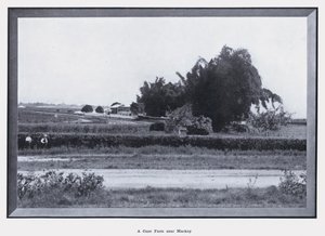 En käppgård nära Mackay (s/v foto)