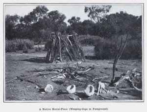 En infödd begravningsplats, gråtmössor i förgrunden (s/v foto) av Photographer Australian