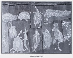 Aboriginal teckningar (s/v foto) av Photographer Australian