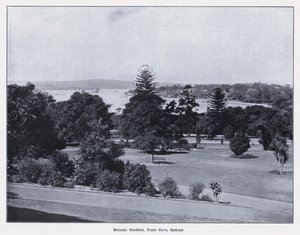 Botanic Gardens, Farm Cove, Sydney (s/v foto) av Photographer Australian